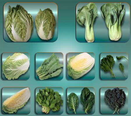 Прозрачные картинки для фотошопа - Домашняя капуста